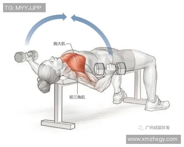 哑铃瘦身减肥锻炼方法全解析打造完美身材的有效训练计划