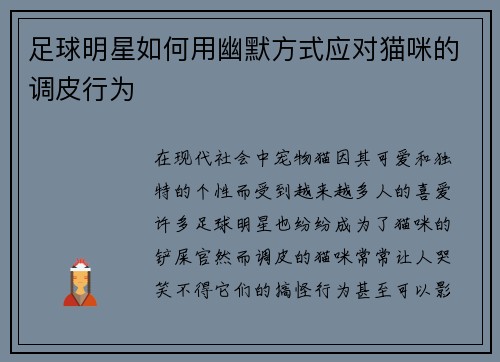 足球明星如何用幽默方式应对猫咪的调皮行为